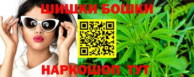 индика Тула