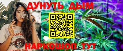 индика Тула